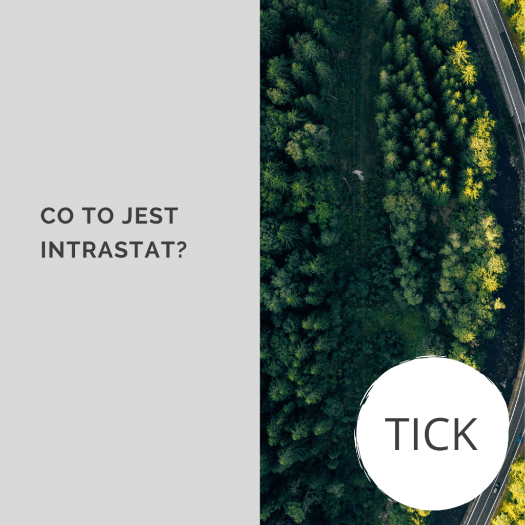 CO TO JEST INTRASTAT