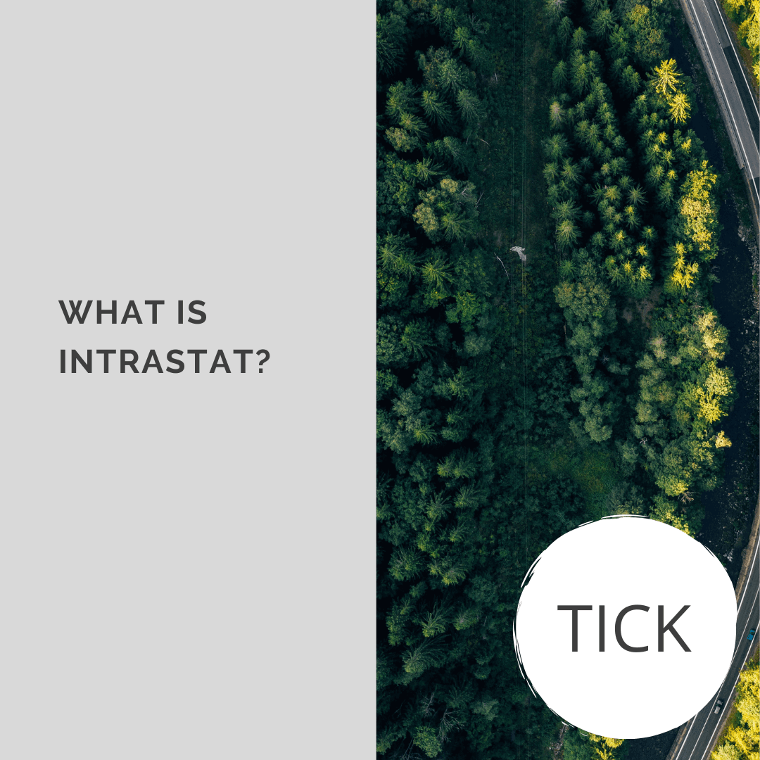 WHAT IS INTRASTAT