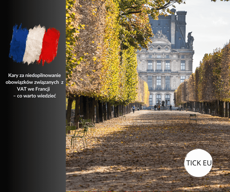 kary za niedopilnowanie obowiązków z vat francji